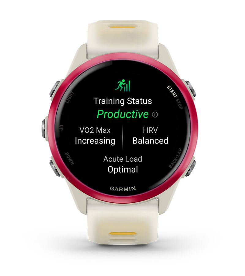 TRAINING STATUS