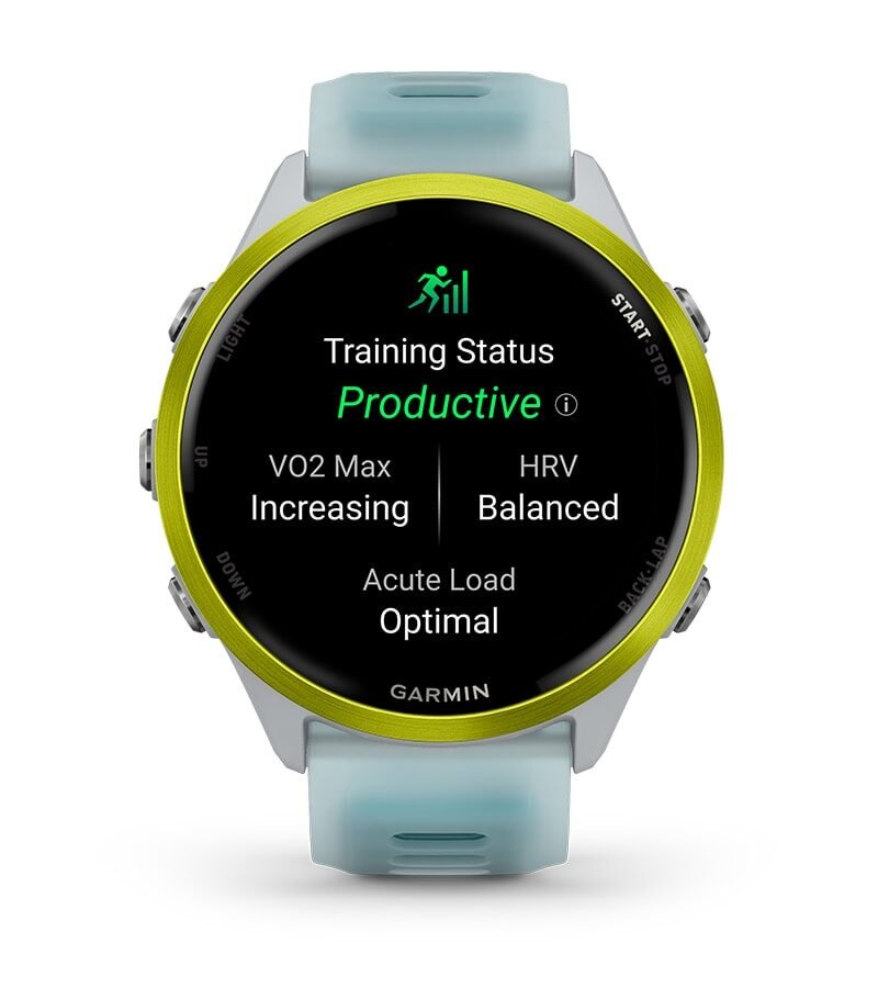 TRAINING STATUS