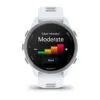Garmin Forerunner 170 Whitestone / Cloud Blue
