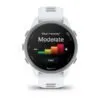 Garmin Forerunner 170 Music Whitestone / Cloud Blue