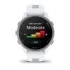 Garmin Forerunner 170 Music Whitestone / Cloud Blue