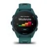 Garmin Forerunner 170 Music Teal Green / Citron