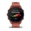 Garmin Forerunner 170 Music Red Pink / Mango